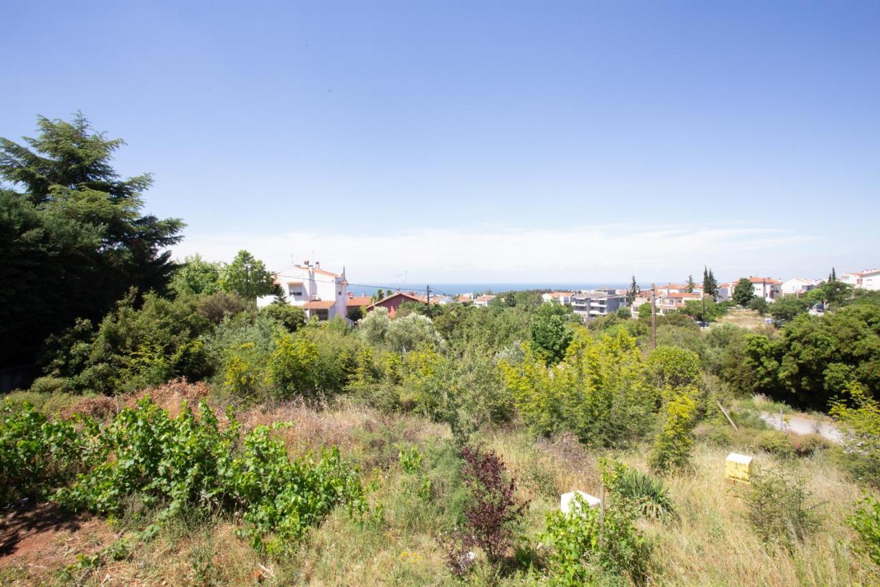 Τraditional Fully Detached Villa On A Luxurious Hillock Of Thessaloniki With Its Own Garden Also For Family & Wedding Gatherings For 10 To 25 People Only 15 Minutes From Airport 外观 照片